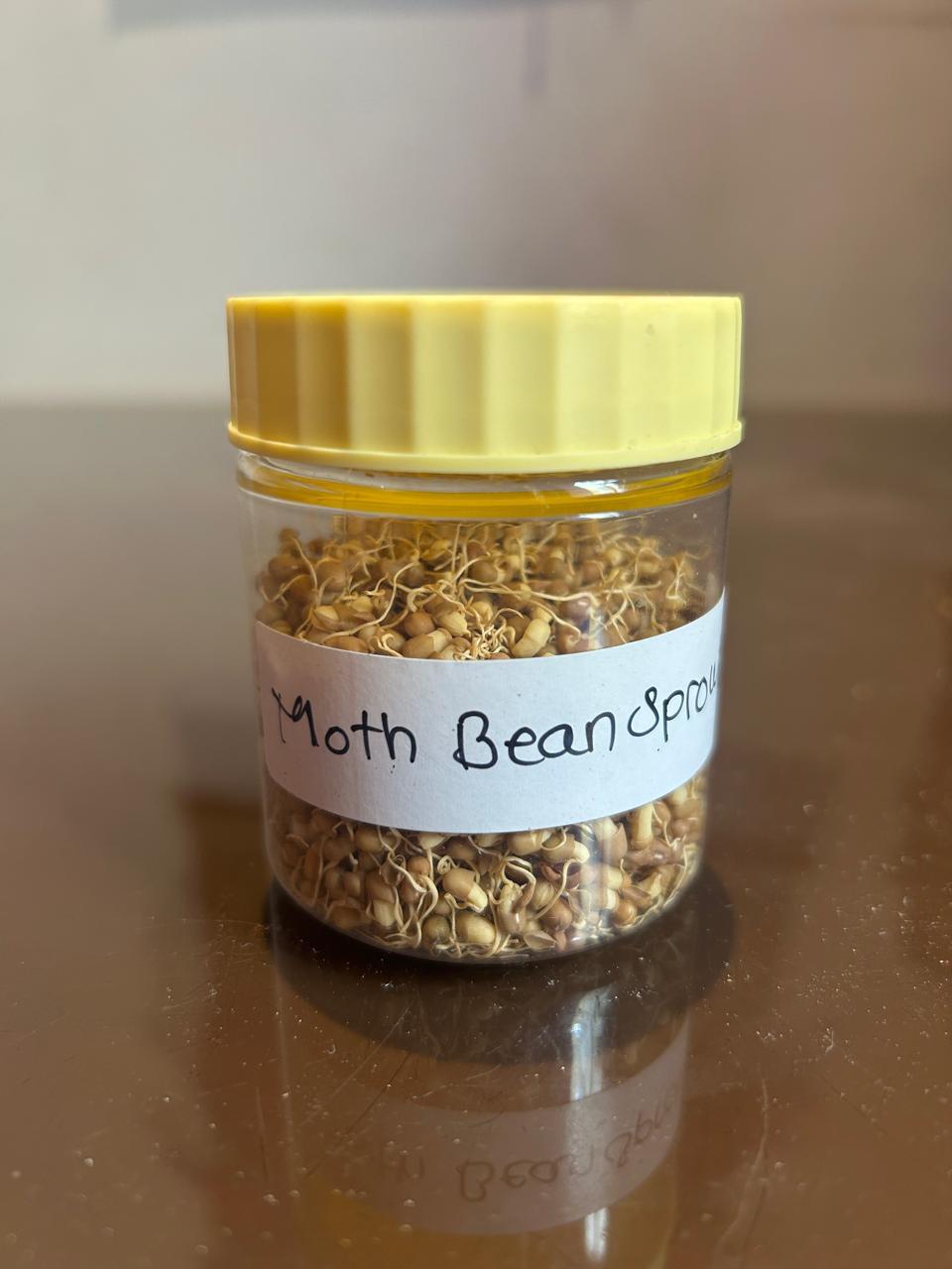 Moth Bean Sprouts